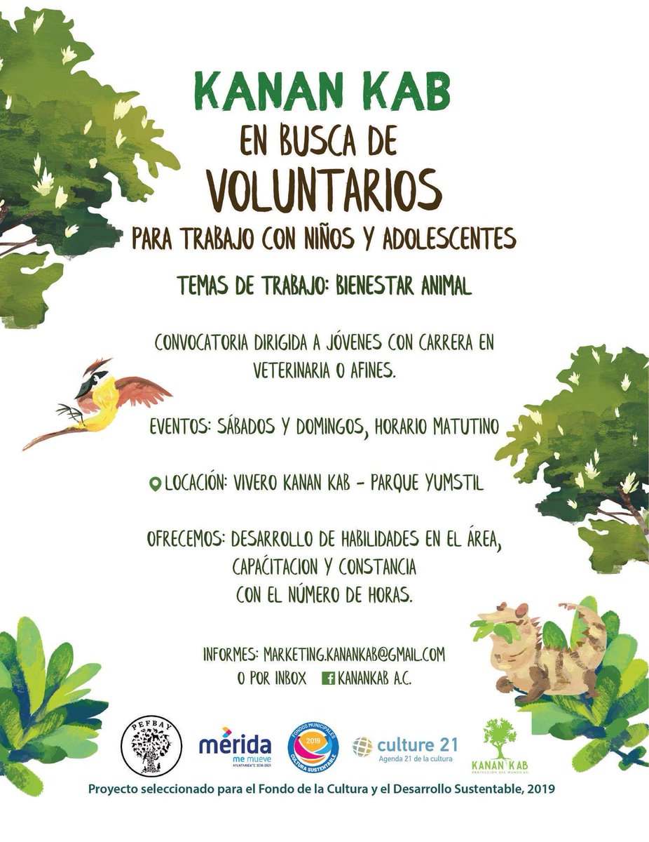 PBAYuc's tweet photo. Les compartimos la convocatoria en Mérida, Yucatán para voluntarios. Educación de bienestar animal.

RT por favor. https://t.co/o1sysTUrlX