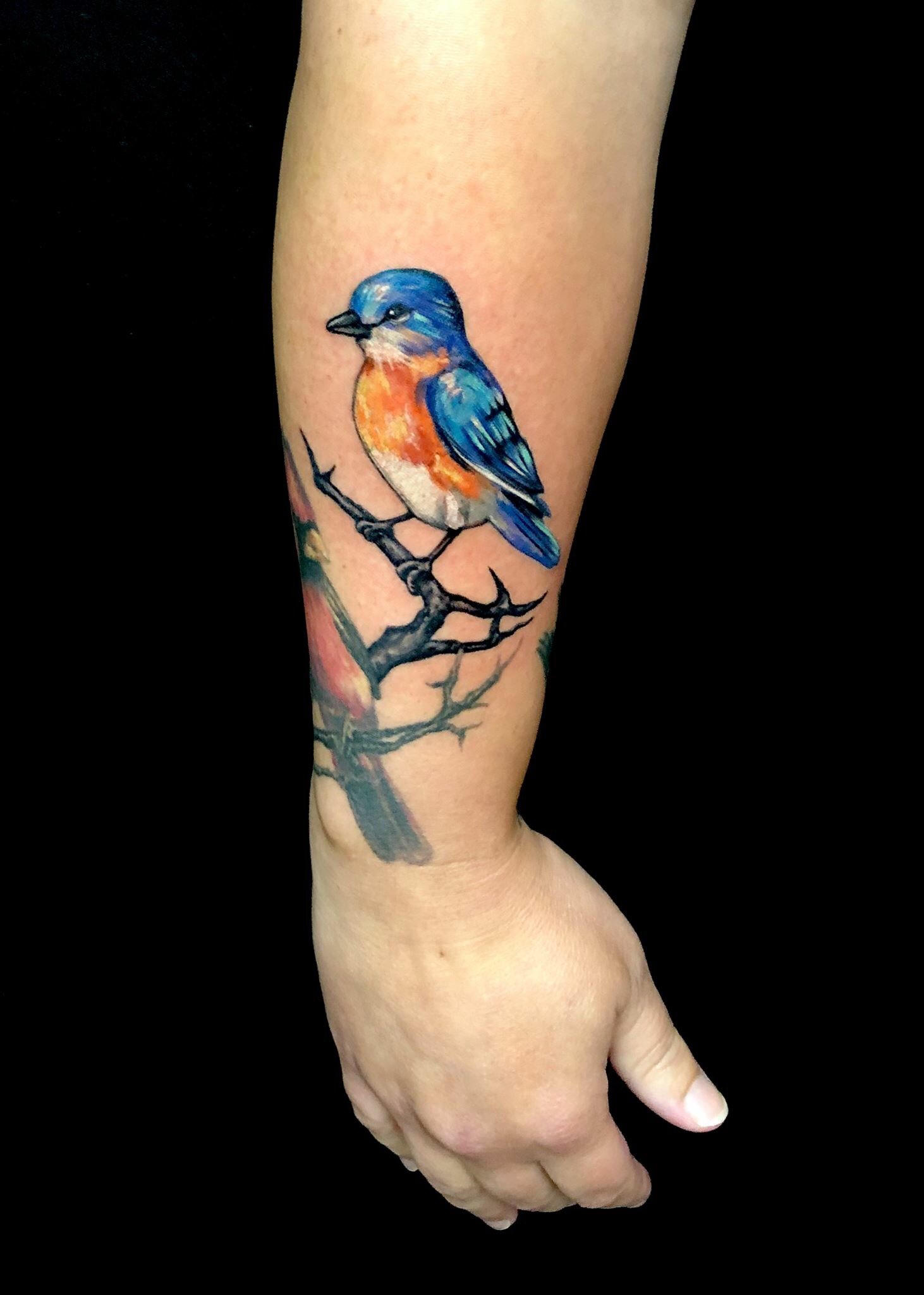 Tattoo by Mark Stewart of Four Aces Tattoo in Aldinga Beach South  Australia Portrait of   Bird tattoos for women Beautiful tattoos for  women Beautiful tattoos