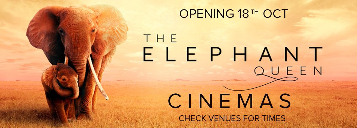 The Elephant Queen V Twitter Us Uk Cinemas Atlanta Plaza