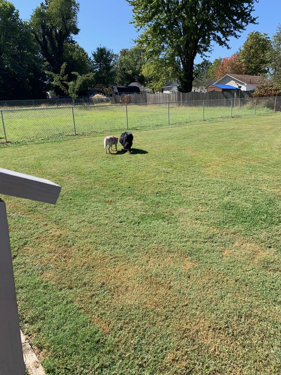 Hanging out with the boys, today.