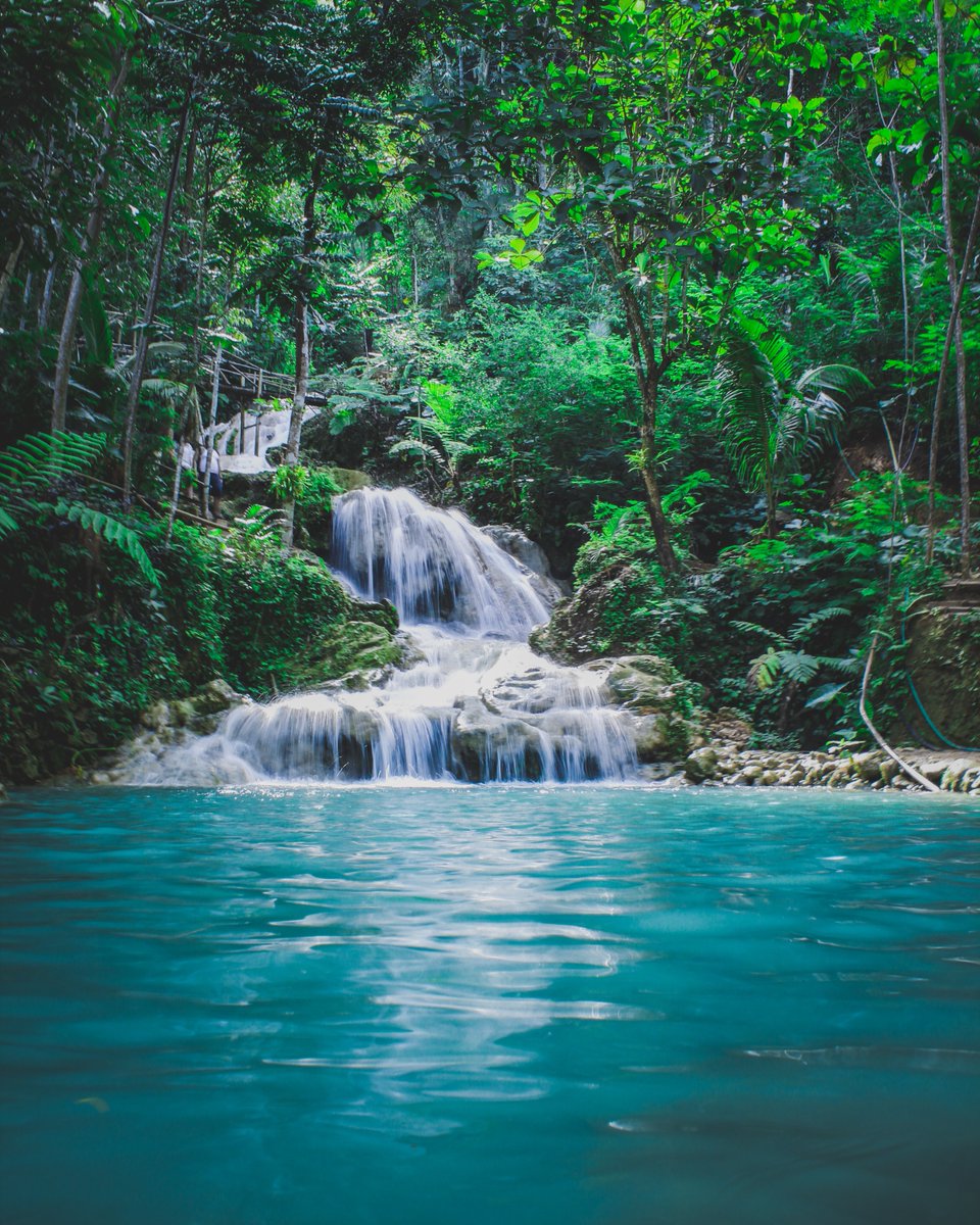 _globalcooling's tweet photo. Tree Tuesday! This is what it's all about - simply #stunning

#treetuesday #globalcoolingcharity #treevolution #trees #tree #tree_brilliance #charity #splendid_woodlands #tree_captures #forest #nature_lovers #nature #wildlife #environment #beautiful #amazing #river #stream https://t.co/3NX0B2IwQV