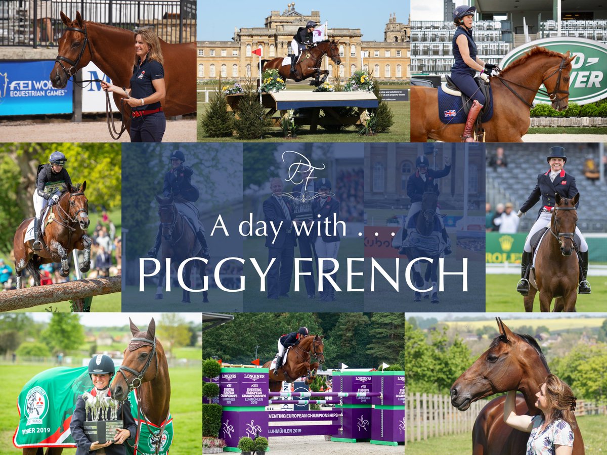 ⭐️A DAY WITH PIGGY FRENCH!⭐️

I am offering an exclusive opportunity to enjoy a day going behind the scenes at Piggy French Eventing. Hopefully an educational, enjoyable and inspirational day out!

Please contact tom@piggyfrench.co.uk for more information.
