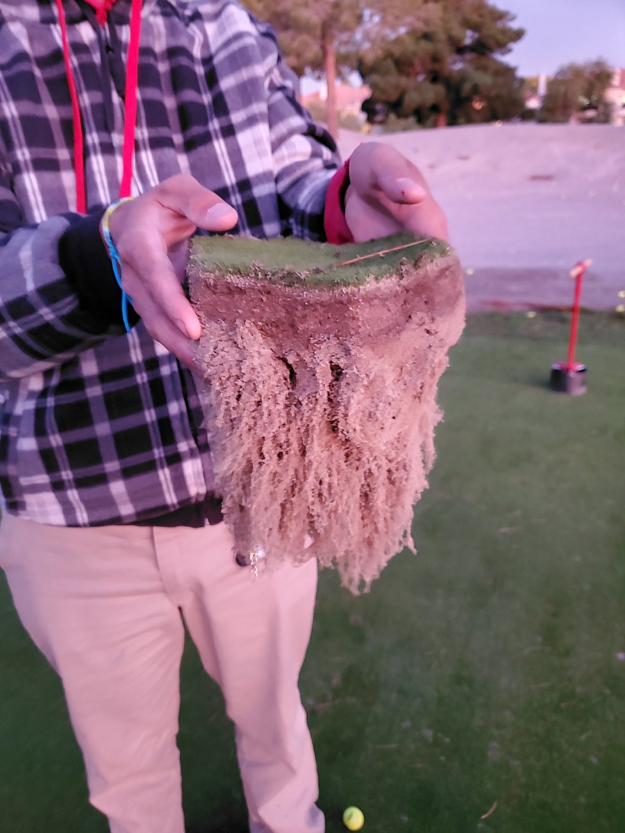 Zack Stephens tweet media