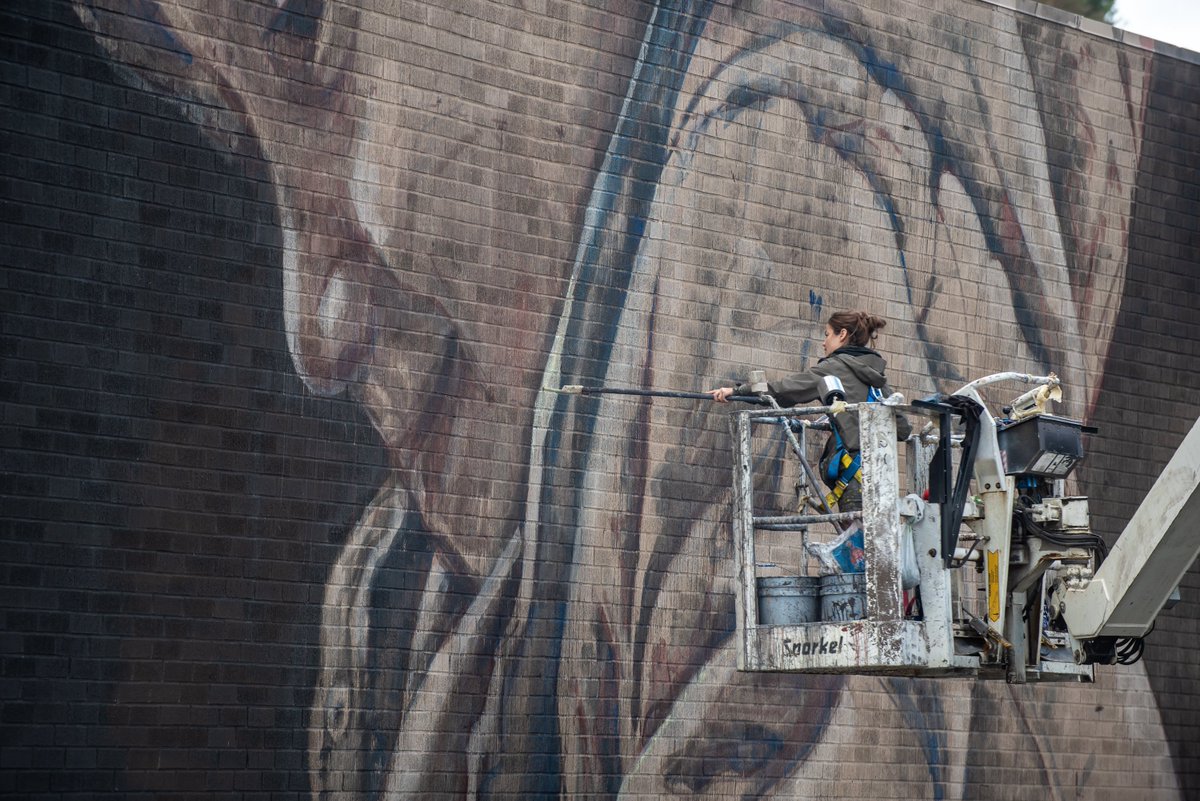 DowntownHalifax's tweet photo. New #DowntownHalifax mural alert!

World travelling artist Jacoba Niepoort has left her mark at 1583 Hollis Street, check it out below. 

The mural is part of our #GrittytoPretty Placemaking Grant Program, learn more here: https://t.co/0BU2VOzLgh

Photos: @StooMetz https://t.co/KopGOxU81j