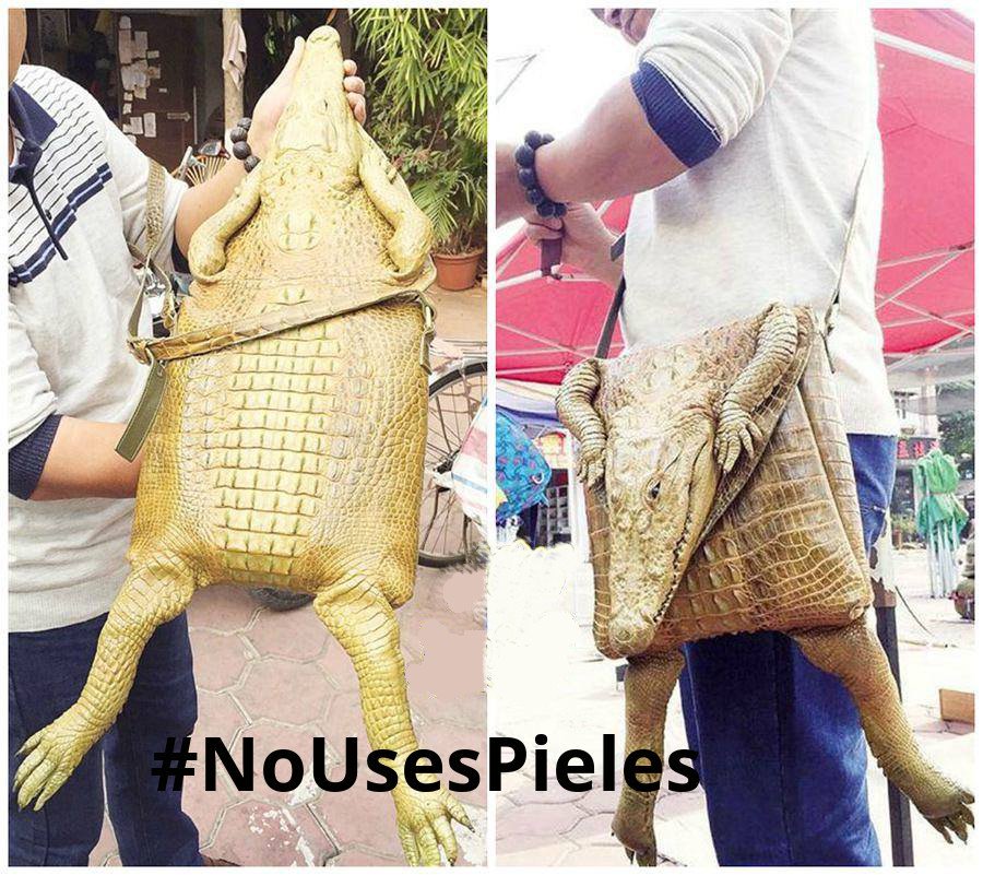 sialveganismo's tweet photo. Los #animales tienen DERECHO a VIVIR!
Usar #pieles es cruel y sádico! La crueldad no es elegante.
#NoUsesPieles #StopModaCruel #StopPieles https://t.co/TagAwe4fve