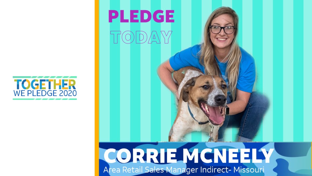 𝐾𝐴𝑀𝑂 tweet media