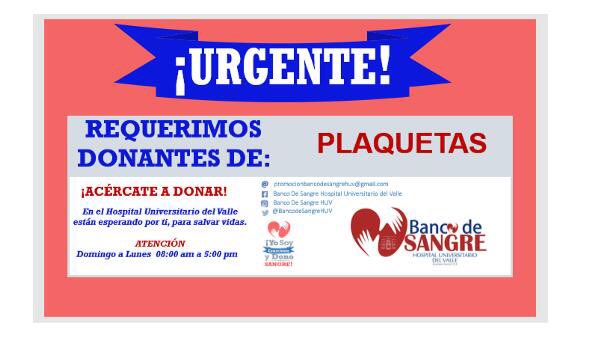 Ver imagen en Twitter