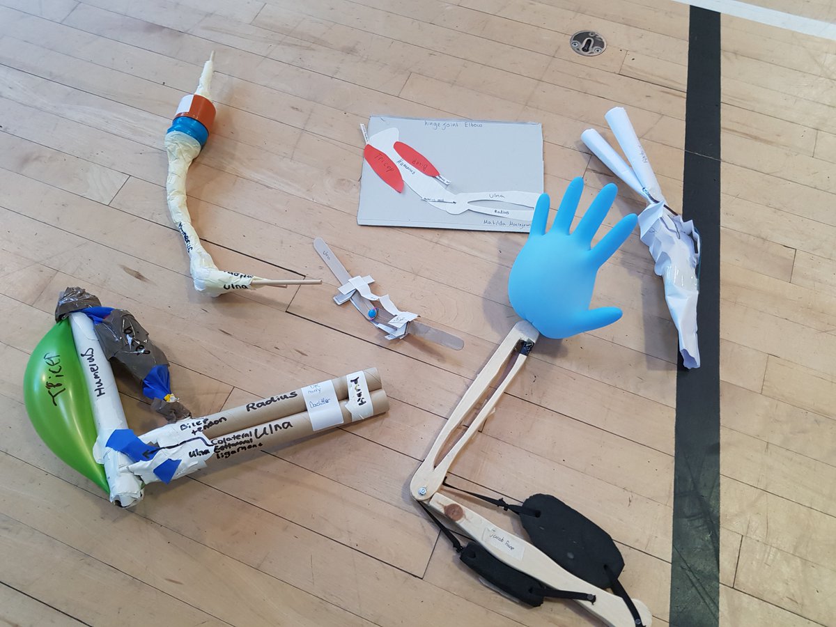 Anthony Gell PE tweet media