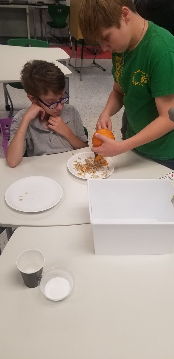 Ms. Amber Drake tweet media