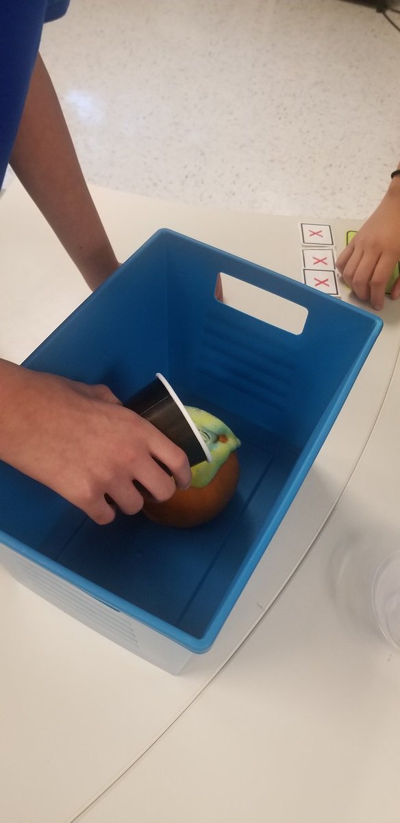 Ms. Amber Drake tweet media