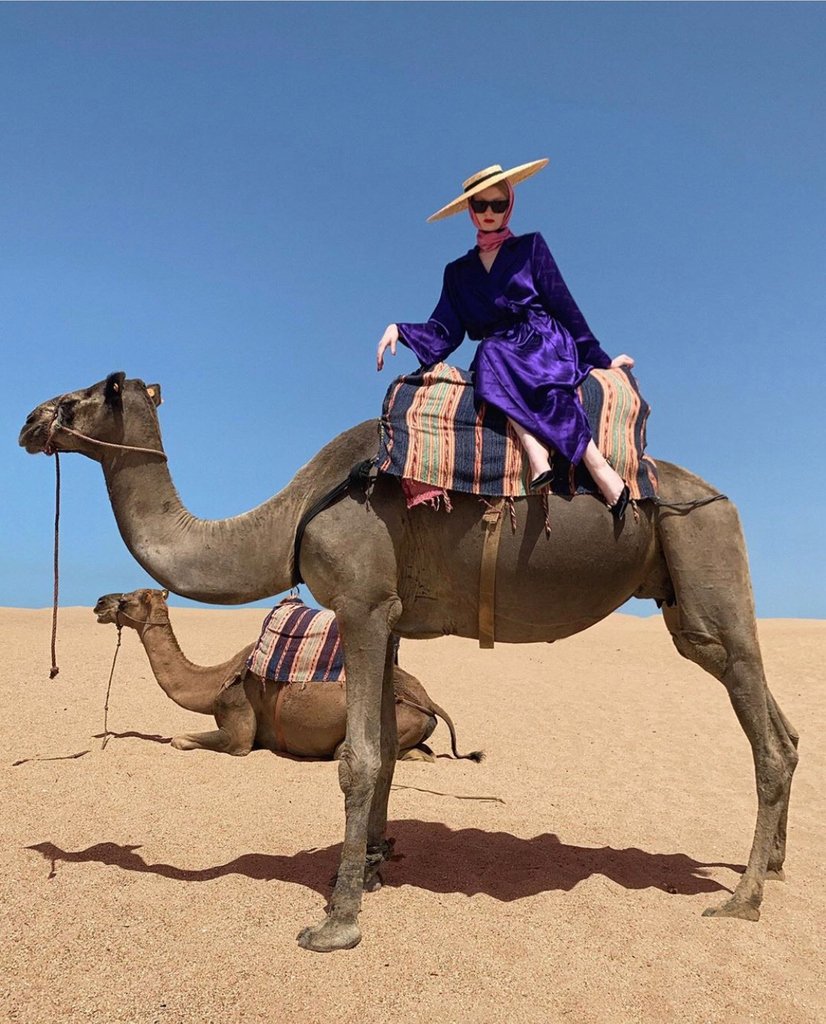 Me: I'm not that extra (also me: zizi donohoe🐫)