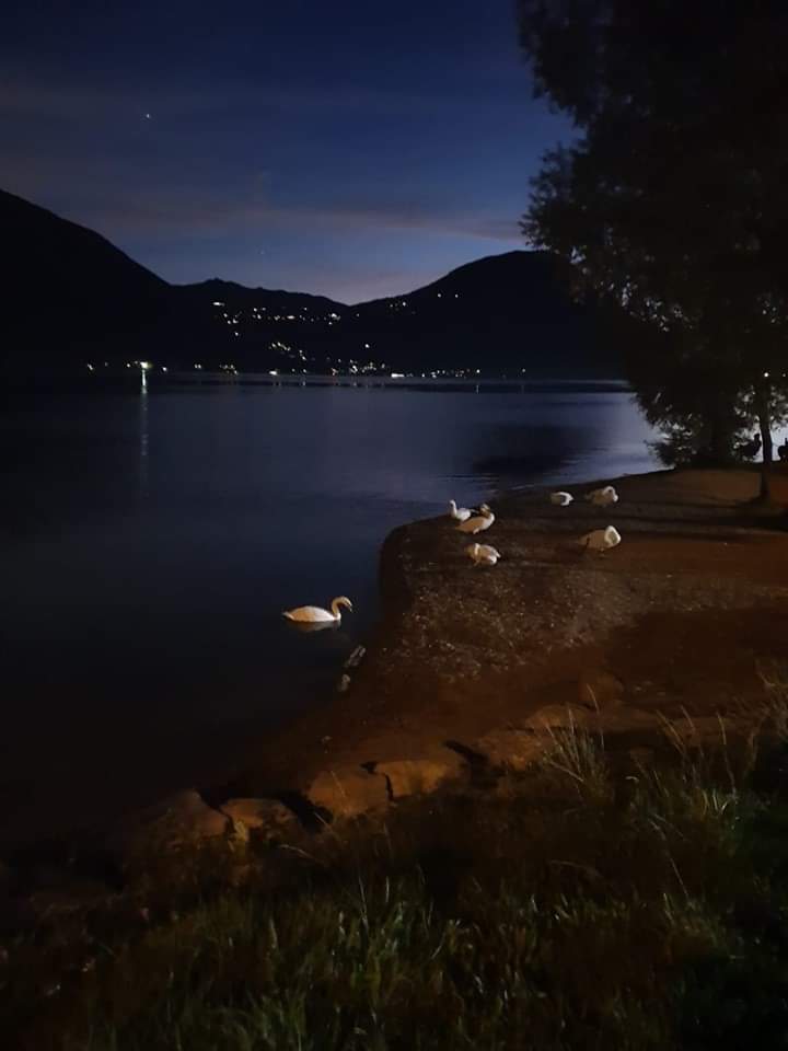 roman_gio's tweet image. 'Notte

#filippograziani #Firenze 

Ciao Ivan!!! 💙youtu.be/bhXdAT2z8bs