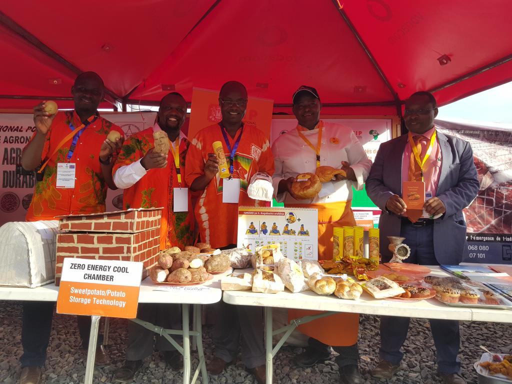 Taat_Africa's tweet image. #TAAT #OFSP Compact showcases the #OrangeFleshedSweetPotato - from technology to processing at #OBJIITACampus in Bukavu. @AfDB_Group @Cipotato @IITA_CGIAR @Ag_economist @RachelMulangala