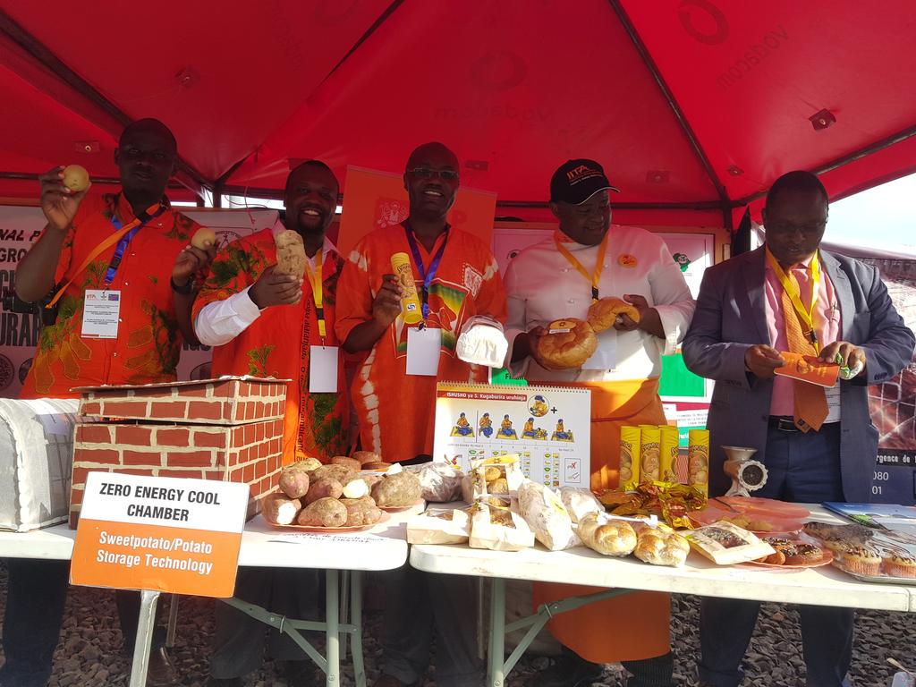 Taat_Africa's tweet image. #TAAT #OFSP Compact showcases the #OrangeFleshedSweetPotato - from technology to processing at #OBJIITACampus in Bukavu. @AfDB_Group @Cipotato @IITA_CGIAR @Ag_economist @RachelMulangala