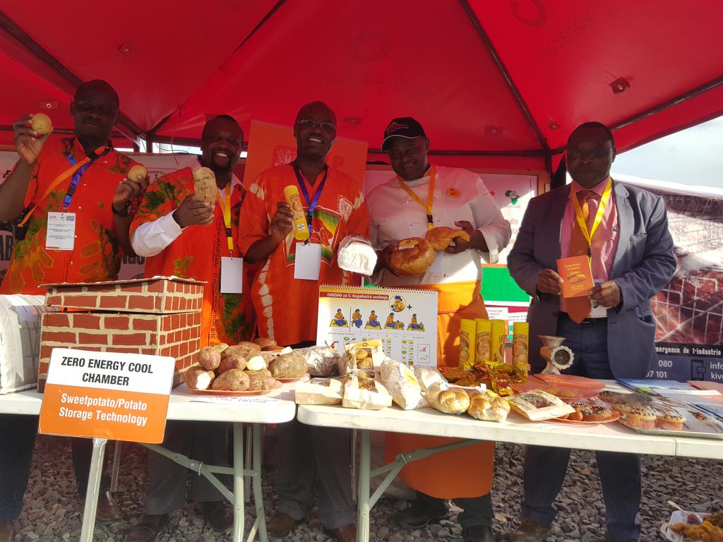 Taat_Africa's tweet image. #TAAT #OFSP Compact showcases the #OrangeFleshedSweetPotato - from technology to processing at #OBJIITACampus in Bukavu. @AfDB_Group @Cipotato @IITA_CGIAR @Ag_economist @RachelMulangala