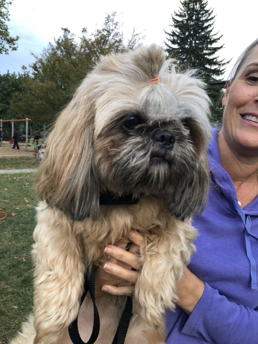 CCPSESOLTeam tweet media