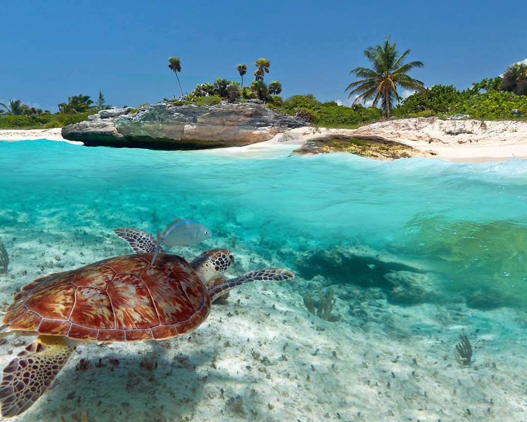 FDVTravel's tweet photo. If you’re looking for #moreinformation regarding our #services, please #contactus today or check out our #website. We look forward to hearing from you! Give Us A Call at # (305) 401-4556 today! #TravelServices #TravelAgent #VacationPackages #Hialeah33013 https://t.co/VEQChdYstg https://t.co/M50HVkLnOz