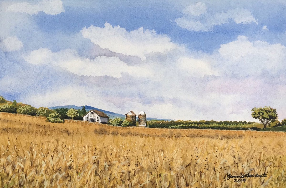 jmferranti's tweet photo. “Leesburg Cornfield” All ready for the Small Works Show at the Clinton G Martin Recreation Center #ALNC #artleagueofnassaucounty 4x6 #watercolor #smallworks #leesburgva #virginia #cornfield #blueskies #barn https://t.co/eCeVZ5TlbU
