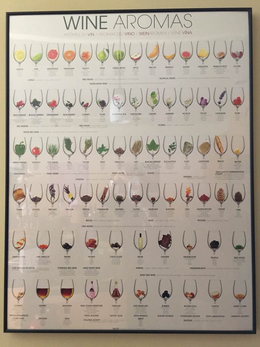 MichaudVineyard's tweet photo. Have you #followed us on all our #socialmedia channels? Be sure to check out our #website for all the most #uptodatelinks, and #showyoursupport with a #like, #comment, or #share! Give Us A Call at # (408) 831-7729 today!  #WineSales #VineyardTours #Vin ... https://t.co/GQEoQZkFS9 https://t.co/ZxqjWG1ZRO
