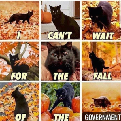 Ancapikitty's tweet photo. #Catarchy ^-^ https://t.co/EAcHiM9n5P