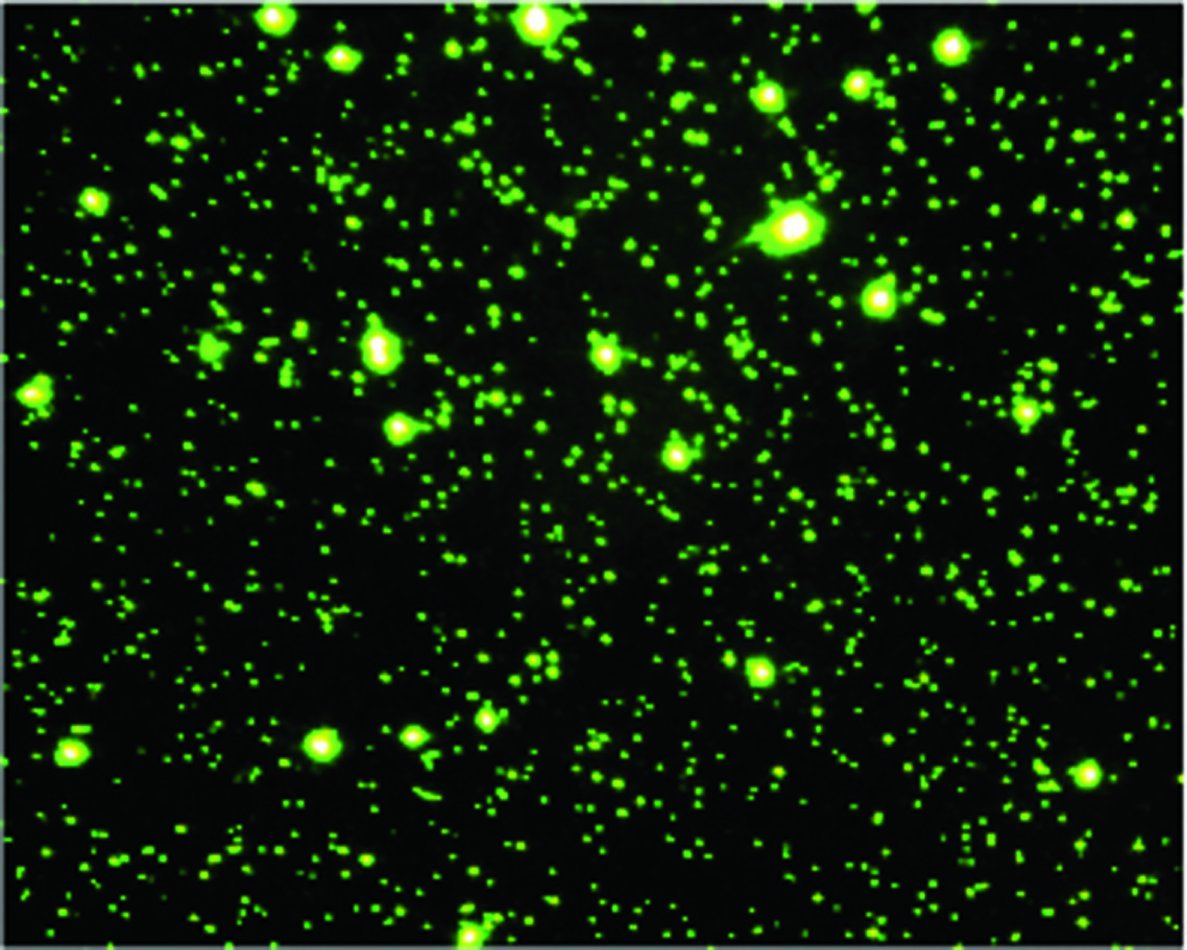 Curtis Suttle (@virosphere2012) on Twitter photo Thanks to the many authors that contributed to "The Diversity and Ecology of Aquatic Viruses from Headwaters to the Hadal" frontiersin.org/research-topic… including <a href="/labontevirallab/">LabontéViralEcologyLab</a> <a href="/brussaard7/">Corina Brussaard</a> <a href="/joshuasweitz/">Joshua Weitz</a> @JanFinke5 <a href="/r_danovaro/">roberto danovaro</a> <a href="/RuiZhan49199353/">Rui Zhang</a> <a href="/hurwitzlab/">Bonnie Hurwitz</a> <a href="/kevinzhong2006/">Kevin X. Zhong</a> +77 others! Thanks to the many authors that contributed to "The Diversity and Ecology of Aquatic Viruses from Headwaters to the Hadal" frontiersin.org/research-topic… including <a href="/labontevirallab/">LabontéViralEcologyLab</a> <a href="/brussaard7/">Corina Brussaard</a> <a href="/joshuasweitz/">Joshua Weitz</a> @JanFinke5 <a href="/r_danovaro/">roberto danovaro</a> <a href="/RuiZhan49199353/">Rui Zhang</a> <a href="/hurwitzlab/">Bonnie Hurwitz</a> <a href="/kevinzhong2006/">Kevin X. Zhong</a> +77 others!