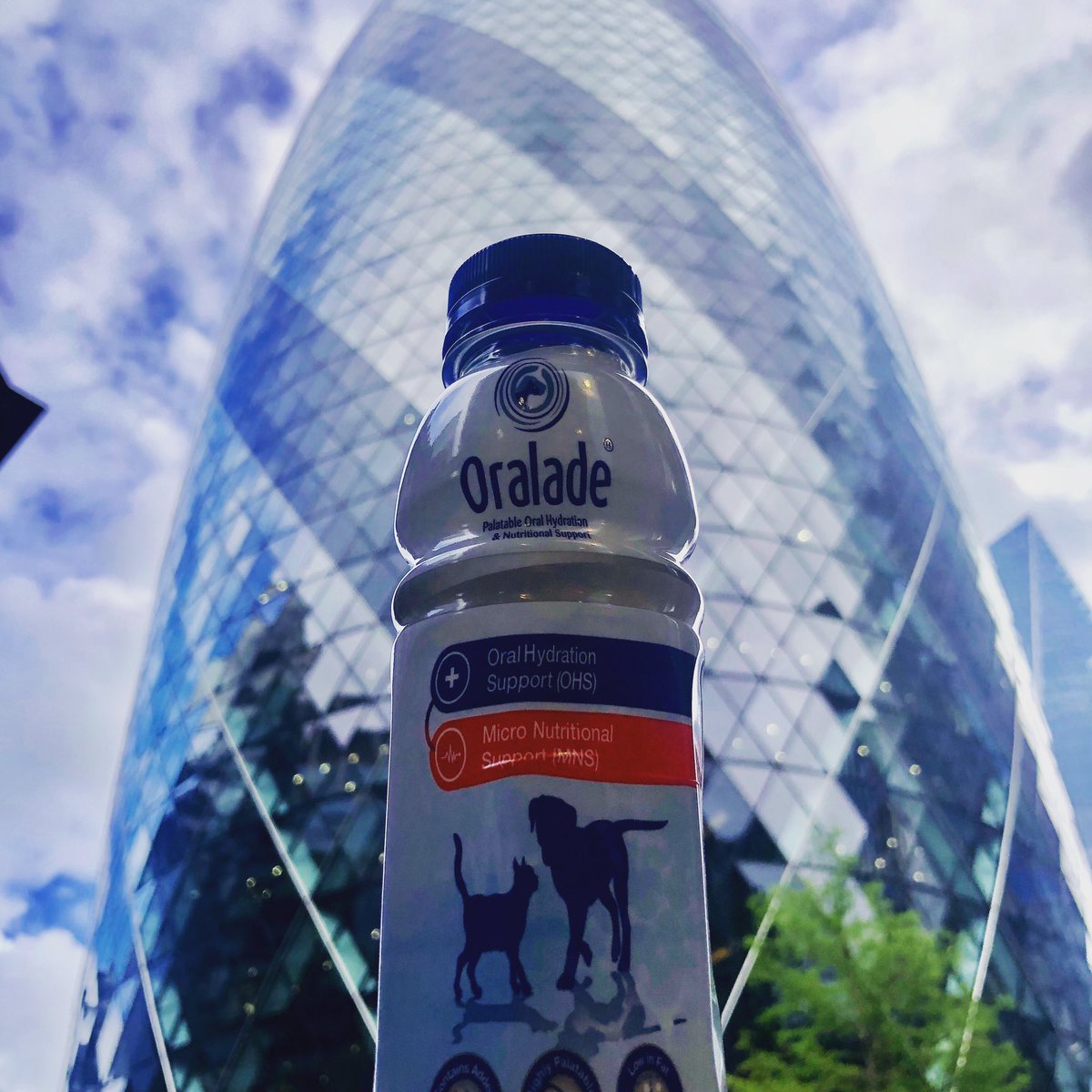 Oralade London. Exciting new launch coming soon #londonvetshow