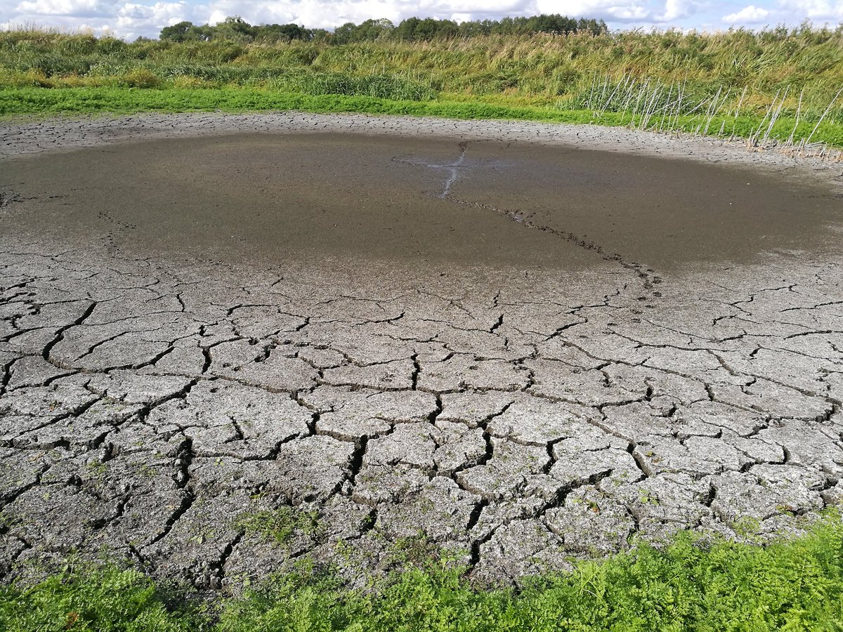 MarlenePatzig's tweet photo. At the beginning of this year the project #SWBTrans was launched. It deals with the effect of #kettleholes on ecosystem services and disservices of adjacent arable fields. After this year's drought we are desperate for rain to replenish our #ponds. https://t.co/8Ga6i0FM0a