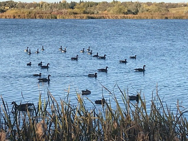 Creative Practice #4- A Spot with a View esthermaeers.wordpress.com/2019/10/08/cre…