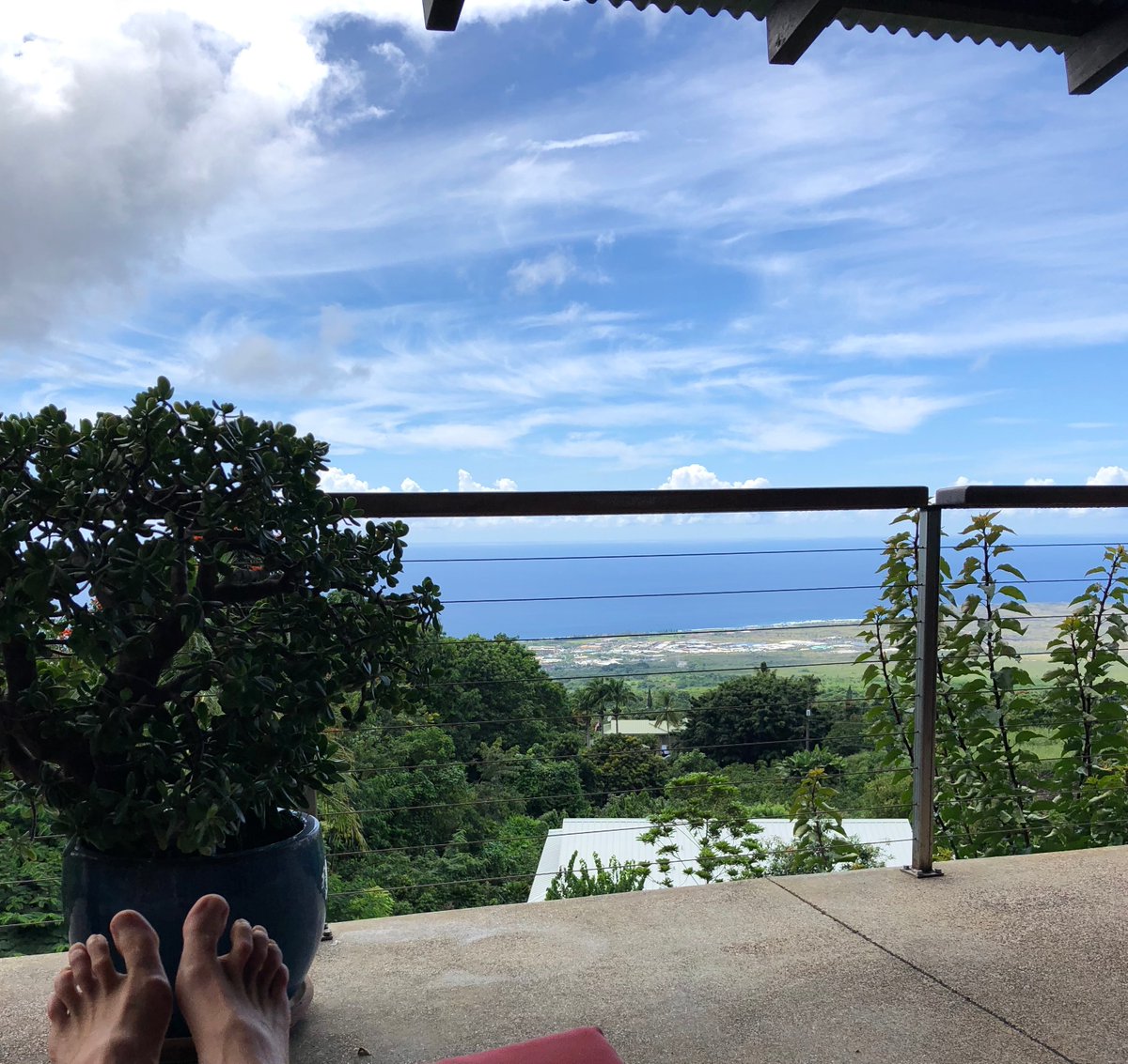 Taryn P. Spates tweet media