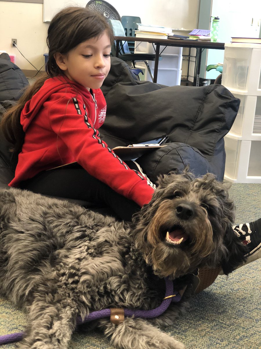 Hough ❤️'S Luna (@houghlovesluna) on Twitter photo Helping with a math test. Don’t worry, I didn’t tell her the answers! #gooddog #therapydog #luna #bestjobever #teacherlife #puppysnuggles #anxiety #testanxiety <a href="/VancouverSD/">Vancouver Public Schools USA</a> <a href="/HoughElementary/">Hough Elementary</a> <a href="/teachmscantwell/">Melissa Cantwell</a> Helping with a math test. Don’t worry, I didn’t tell her the answers! #gooddog #therapydog #luna #bestjobever #teacherlife #puppysnuggles #anxiety #testanxiety <a href="/VancouverSD/">Vancouver Public Schools USA</a> <a href="/HoughElementary/">Hough Elementary</a> <a href="/teachmscantwell/">Melissa Cantwell</a>