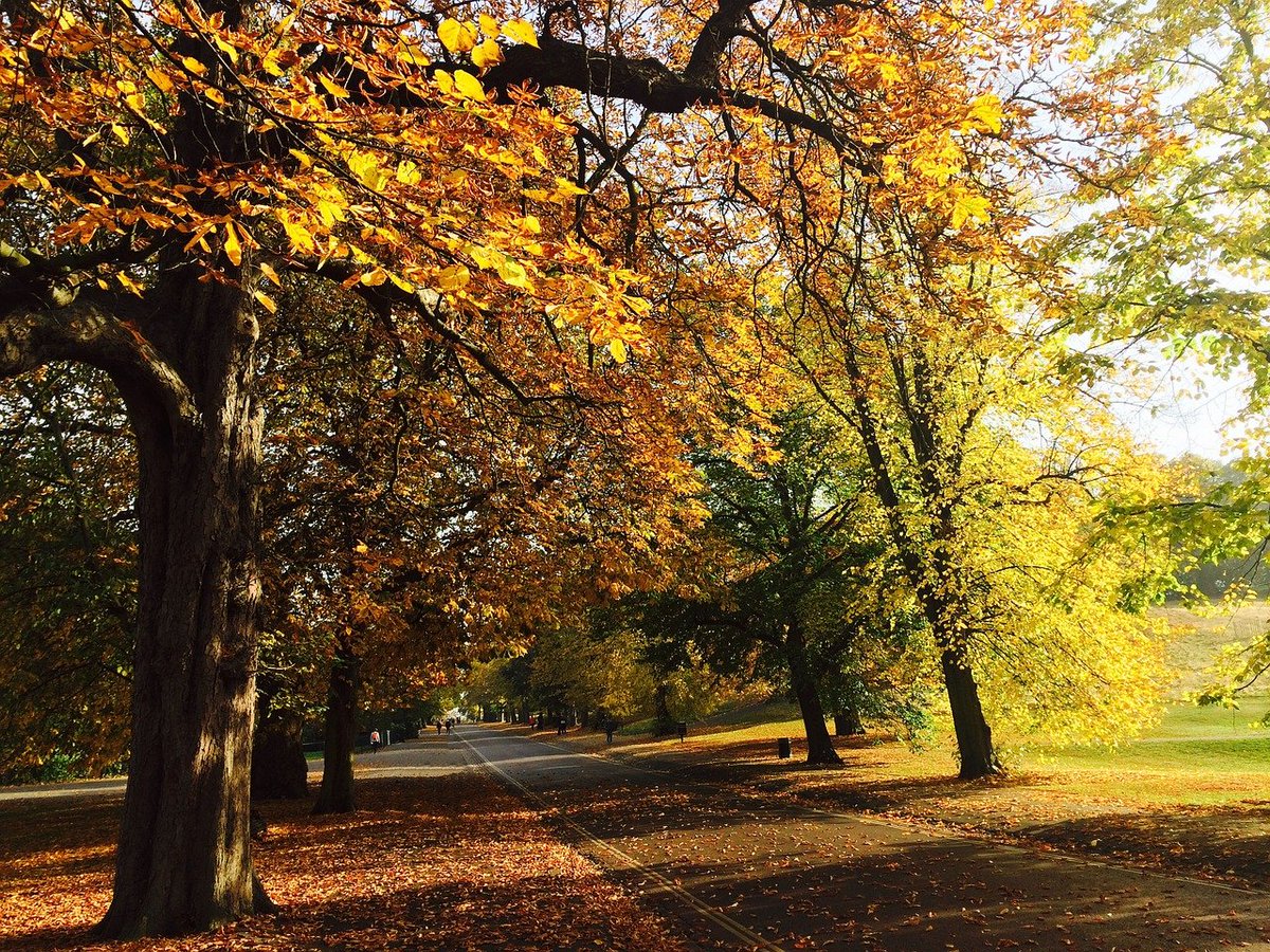 Coach+Walks till end 2019 are Kensington, Whitechapel, Farringdon and London Bridge. RSVP for meeting point! 
breakfastpeople.co/events/