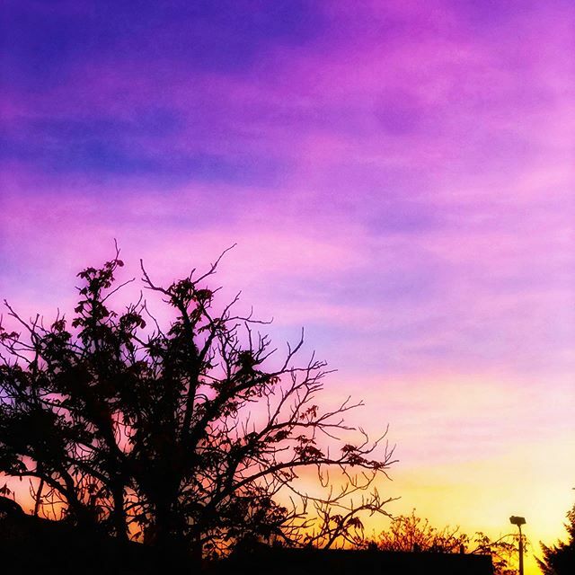 susankmann's tweet photo. When autumn darkness creeps in, what we’ll remember are the small acts of kindness. Little things like a cake, a hug, a chat, or a flower. These are all expressions of a people coming together and caring about each other! #autumn #skywatcher #capturingco… https://t.co/Fsy57XSVc0 https://t.co/9U1eAehgOE