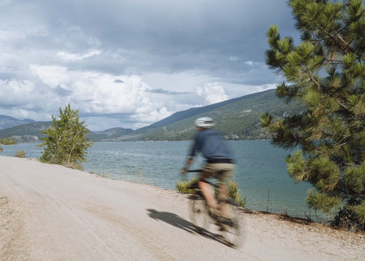 fieldforestco's tweet photo. Out here living our best life in Kelowna. Found a few apple trees while biking the new Okanagan Rail Trail from downtown to Kalamalka Lake / #explorekelowna https://t.co/ie7lKhqmj1