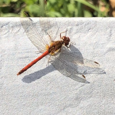 DanielDaoust's tweet image. #NouvellePhotoDeProfil