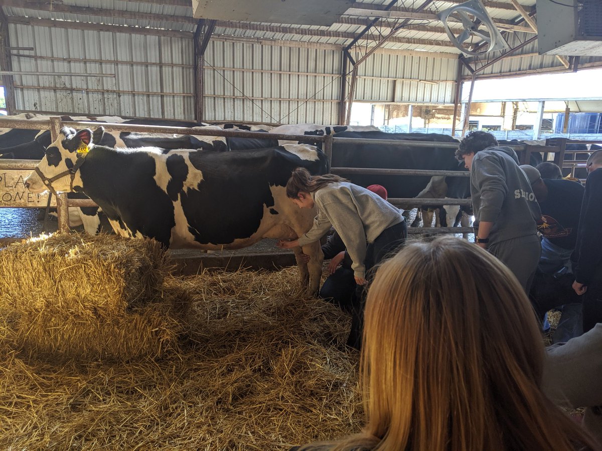 Drexel_FBLA's tweet photo. FBLA's business trip to Shatto Milk Company was a success!  The chapter spent the day touring the farm and learning about Shatto's successful business. https://t.co/ZLwSFUJ5s3