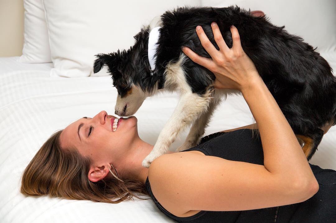 Katie Cleek tweet media