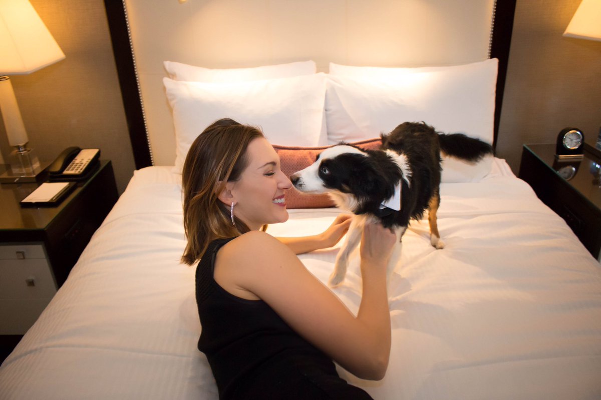 Katie Cleek tweet media