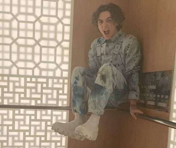 Richagracee's tweet photo. Fours when they have been in a room full of emotional unavailable people too long #ENNEAGRAM #typefour #fours #TimotheeChalamet https://t.co/SPpZ5U7JGk