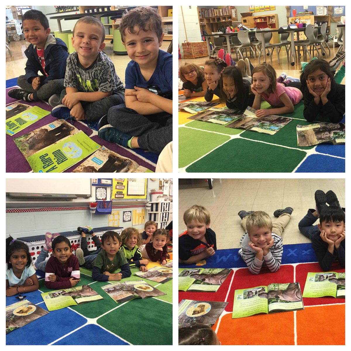 HammelJill's tweet image. Our @ChpsTweets Full Day K scientists loved reading National Geographic Young Explorer today! After reading about animals &amp;amp; plants &amp;amp; discussing what we learned as a class, our reading detectives searched the text for sight words, capital letters, &amp;amp; punctuation! 🔎🦏🌷#ScienceELA
