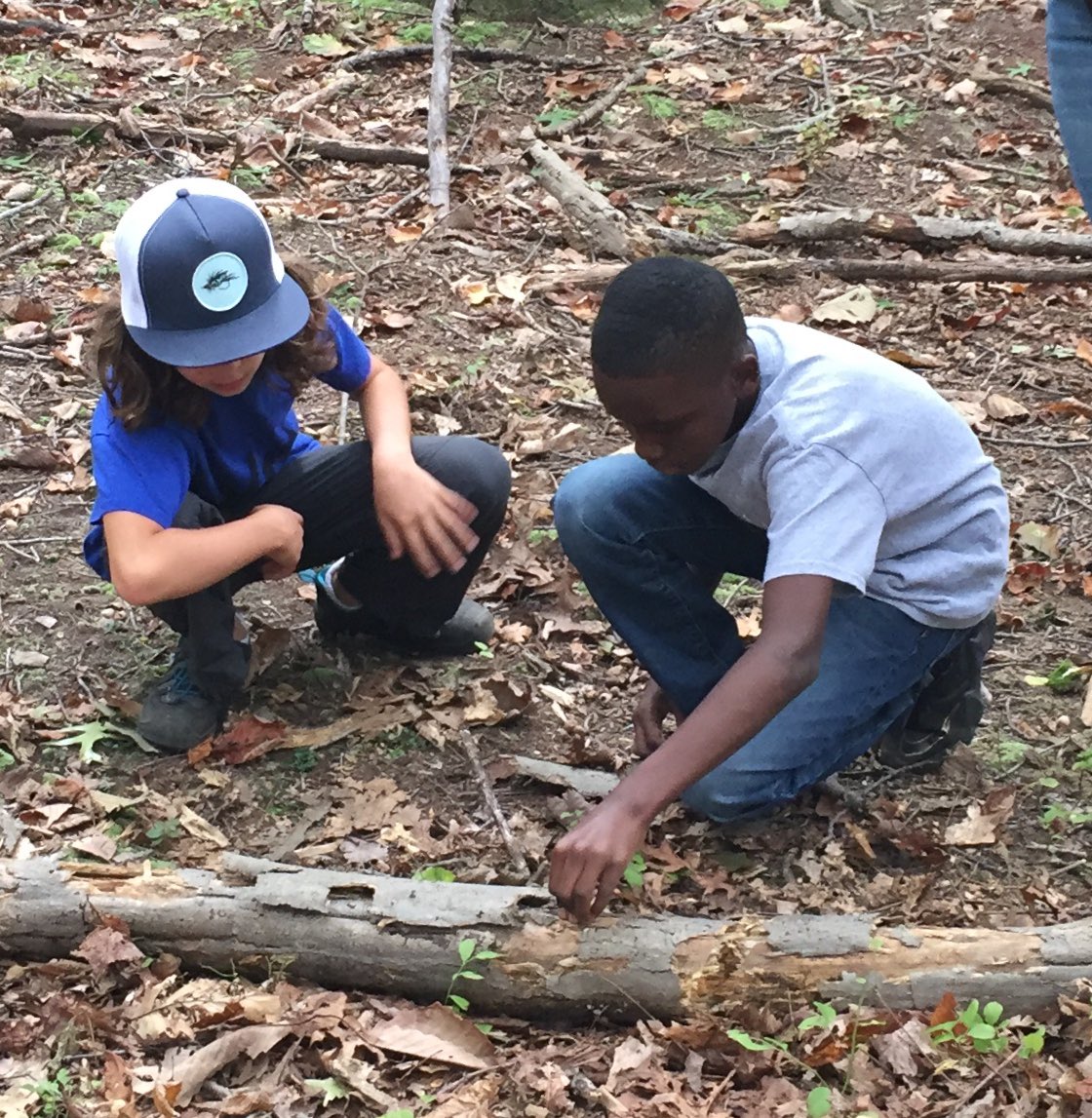 Melissa Gagnon tweet media