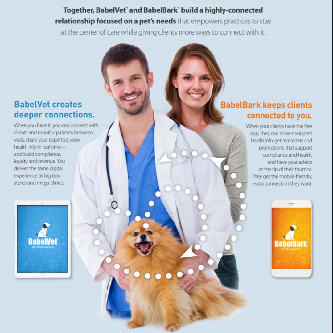 BabelVet's tweet photo. Connect the love in a whole new way. Simply, digitally and personally. 
Veterinary professionals: Book your FREE online walkthrough of the platform here 👉https://t.co/nJfv6eCkI8 https://t.co/UeZp2XUj7m