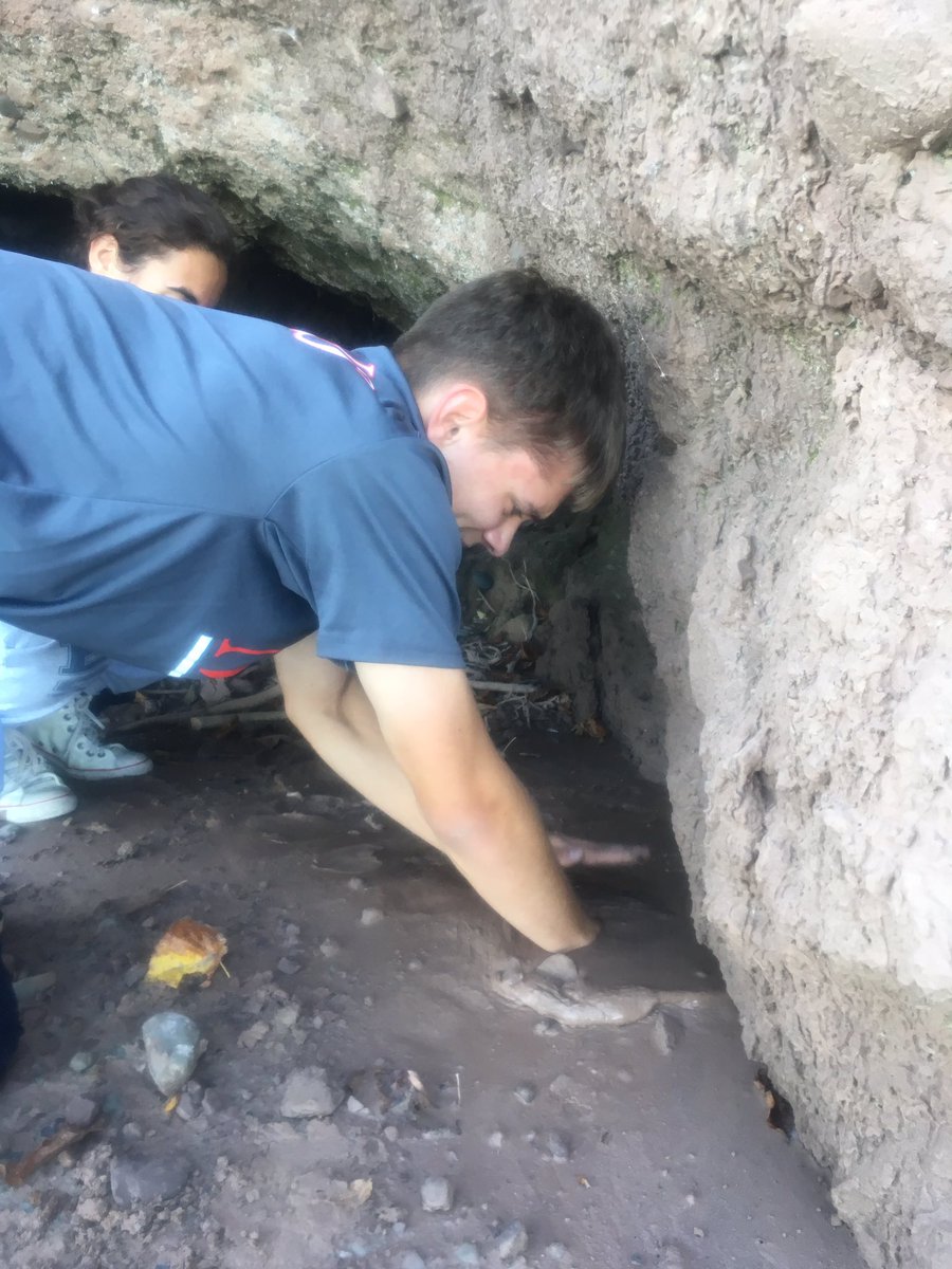MPHScienceDept's tweet image. What’s the best way to learn about drumlins, clay that demonstrates liquefaction and other ‘cool’ glacial features? Why yes, walk through the middle of a drumlin at Chimney Bluffs.