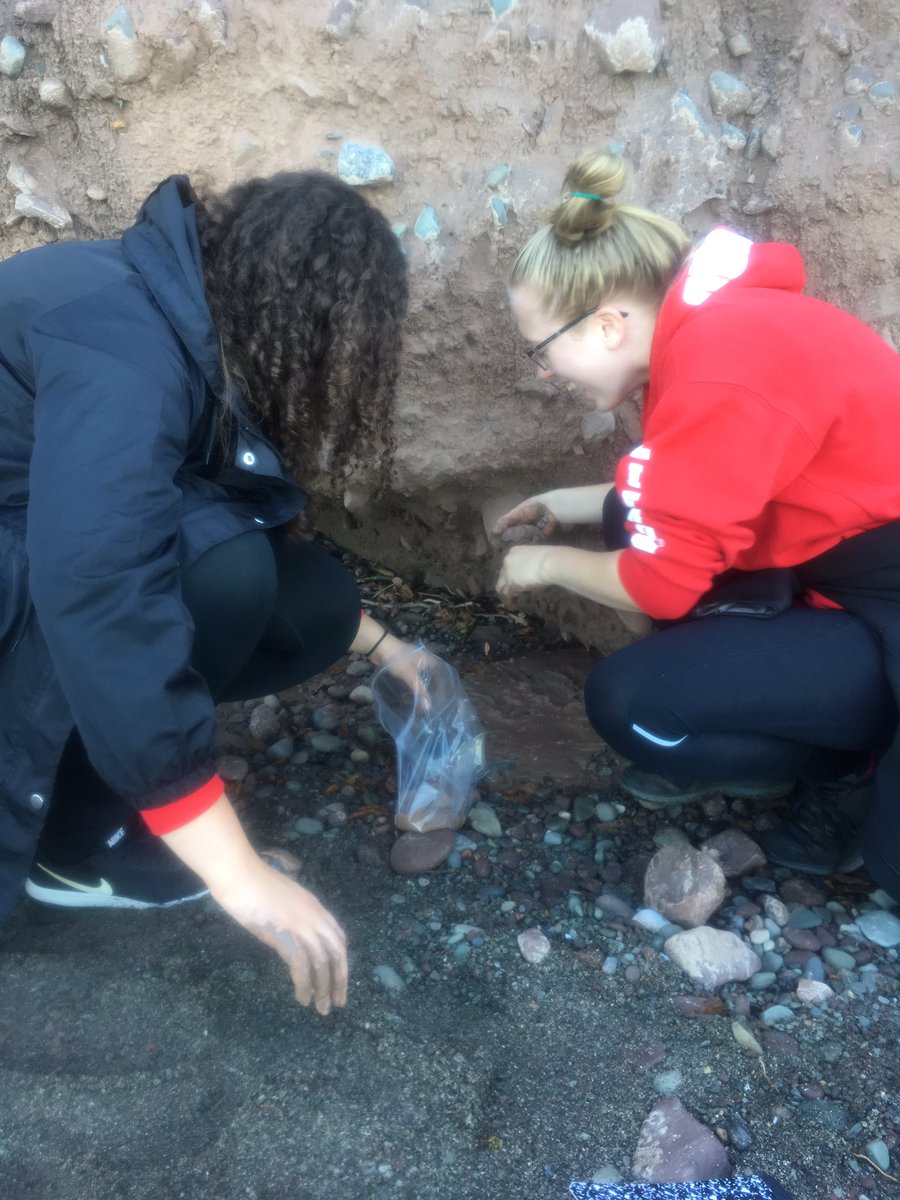 MPHScienceDept's tweet image. What’s the best way to learn about drumlins, clay that demonstrates liquefaction and other ‘cool’ glacial features? Why yes, walk through the middle of a drumlin at Chimney Bluffs.