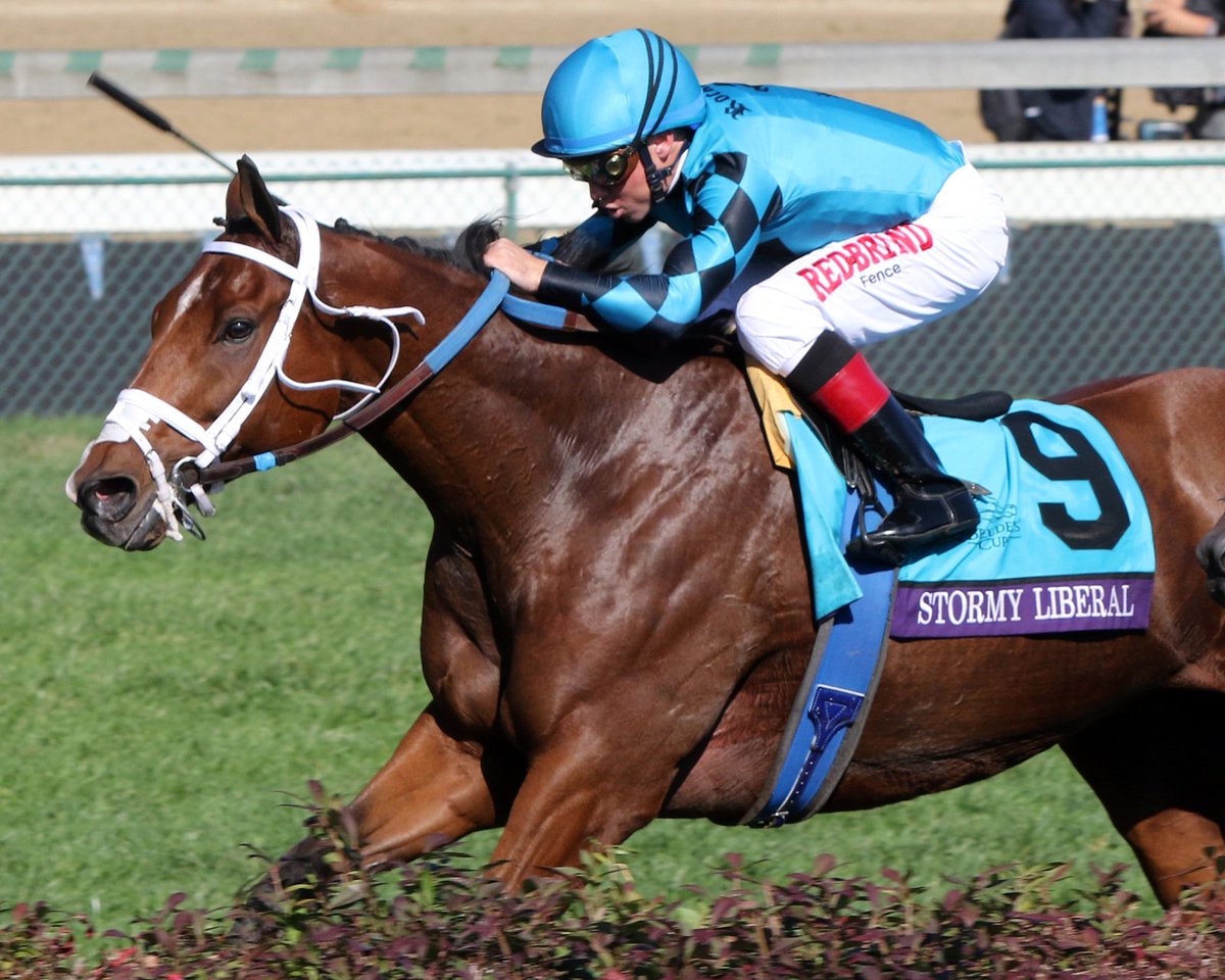 BloodHorse's tweet image. Slideshow: Breeders' Cup Turf Sprint: 2008-2018, A photographic review of the winners of the Breeders' Cup Turf Sprint bit.ly/2IzBrHv #BreedersCup #BCTurfSprint #BreedersCupTurfSprint