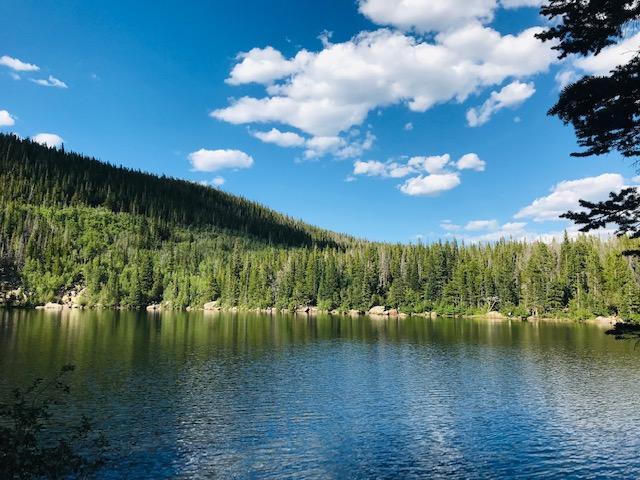 MandyGoHogs's tweet image. A NEW THING… mygoodhisglory.com/2019/10/08/a-n…