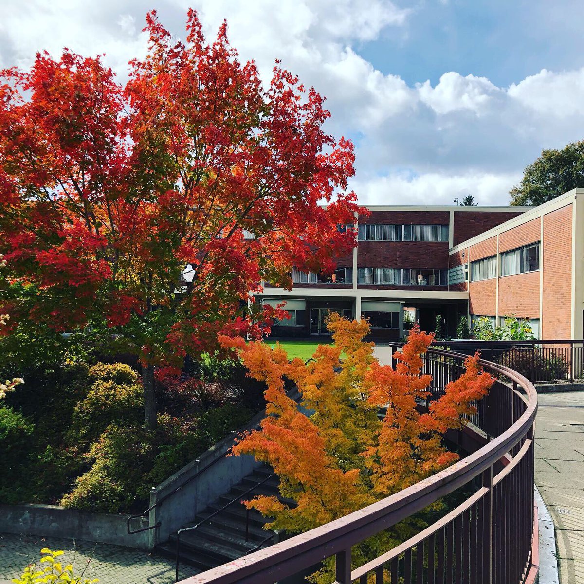The autumn colors are spreading across campus. 🤩 #willametteuniversity #willametteu <a href="/WillametteAlum/">WillametteAlum</a> @wuadmit @WUHousing