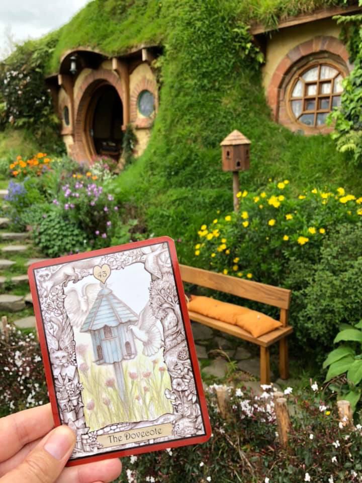 ad_publishing's tweet photo. So you can share the magic of #Hobbiton with us, here’s an oracle card for the day, taken from ‘The Oracle of the Innocent Heart’ by Scott Alexander King and Sharon McLeod. @AnimalDreaming #oraclecards #hobbit #newzealand 
The Dovecote.… https://t.co/iLOXnfsgHn… https://t.co/XNpNeqkapW