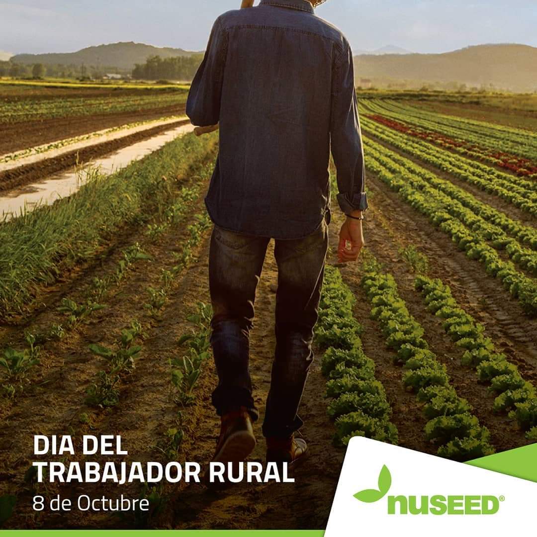 CognitoMkt's tweet photo. Hoy es el #DiaDelTrabajadorRural 👨‍🌾 y asi los homenajeamos juntos con nuestros clientes de #Agro 🌱
▪️
#Agromarketing #Campo #MarketingAgropecuario #Efemerides #DiseñoGrafico #Contenidos #SocialMedia #GestionDeRedesSociales https://t.co/3qWBKUbFtq