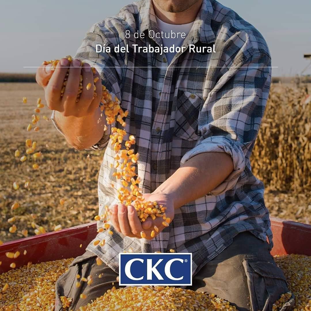 CognitoMkt's tweet photo. Hoy es el #DiaDelTrabajadorRural 👨‍🌾 y asi los homenajeamos juntos con nuestros clientes de #Agro 🌱
▪️
#Agromarketing #Campo #MarketingAgropecuario #Efemerides #DiseñoGrafico #Contenidos #SocialMedia #GestionDeRedesSociales https://t.co/3qWBKUbFtq