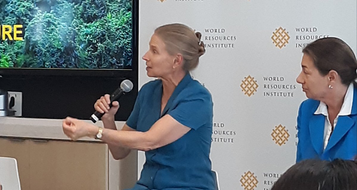 TNRCproject's tweet photo. “In order to address climate change, we need to protect forests," says Frances Seymour of @WorldResources. "To do that, we need to focus on three things: governance, markets and finance, and shifting norms.” Addressing corruption is critical to good governance. #LegalityWeek https://t.co/Yu69GG0e9J
